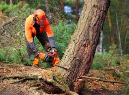 Mulching Services in Round Lake Heights, IL